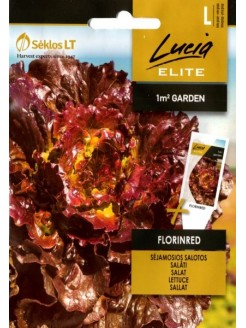 Gartensalat 'Florinred' 25 Samen