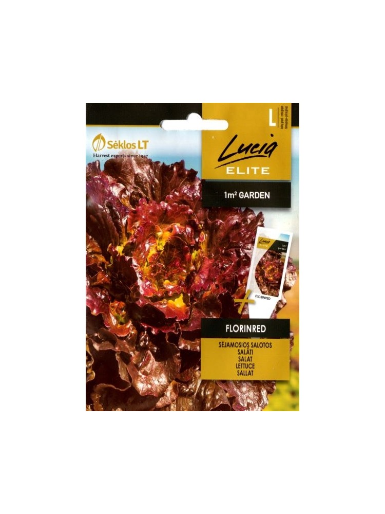 Laitue cultivée 'Florinred' 25 graines