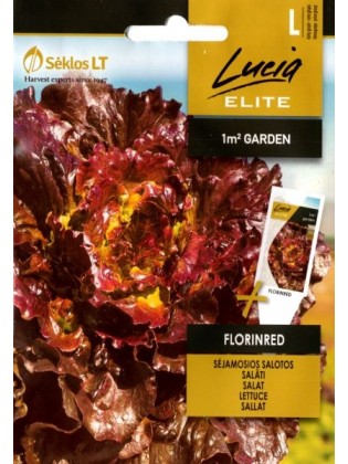 Lettuce 'Florinred' 25 seeds