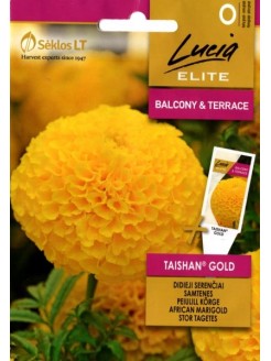 Бархатцы прямостоячие 'Taishan gold' 20 семян
