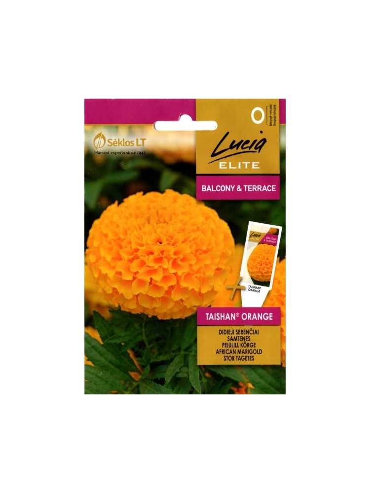 Mexican marigold 'Taishan orange' 20 seeds