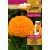 Mexican marigold 'Taishan orange' 20 seeds