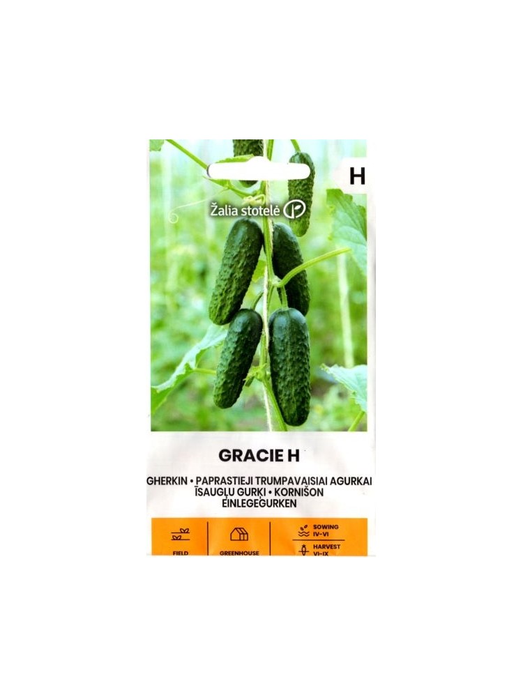 Cucumber 'Gracie' H 0,5 g