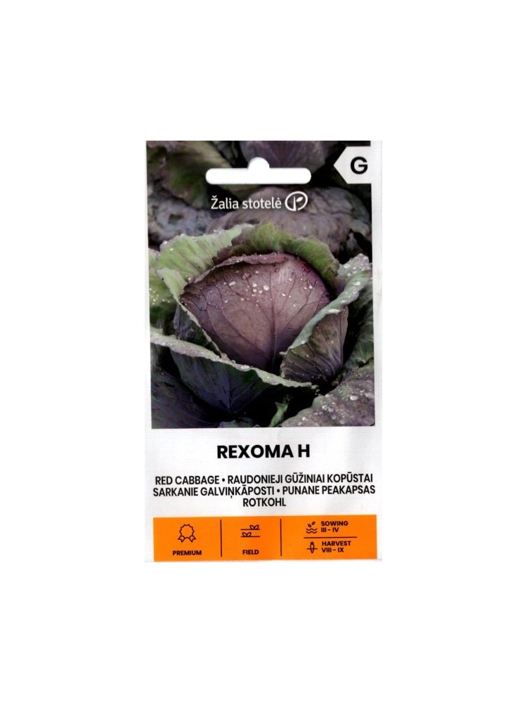 Red Cabbage 'Rexoma' H, 20 seeds