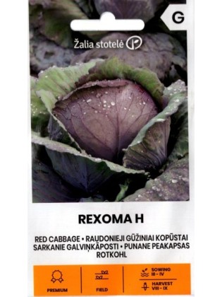 Red Cabbage 'Rexoma' H, 20 seeds