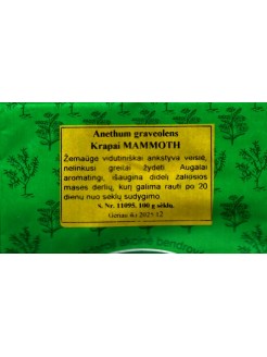 Aneth odorant 'Mammouth' 100 g