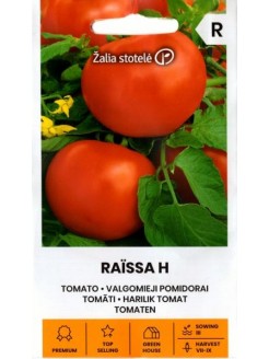 Pomodoro 'Raissa' H,  10 semi