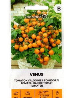 Pomodoro 'Venus' 0,1 g