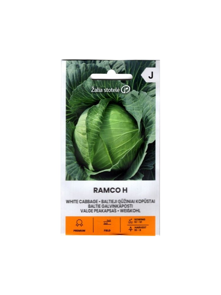 Cavolo Cappuccio 'Ramco' H, 0,1 g