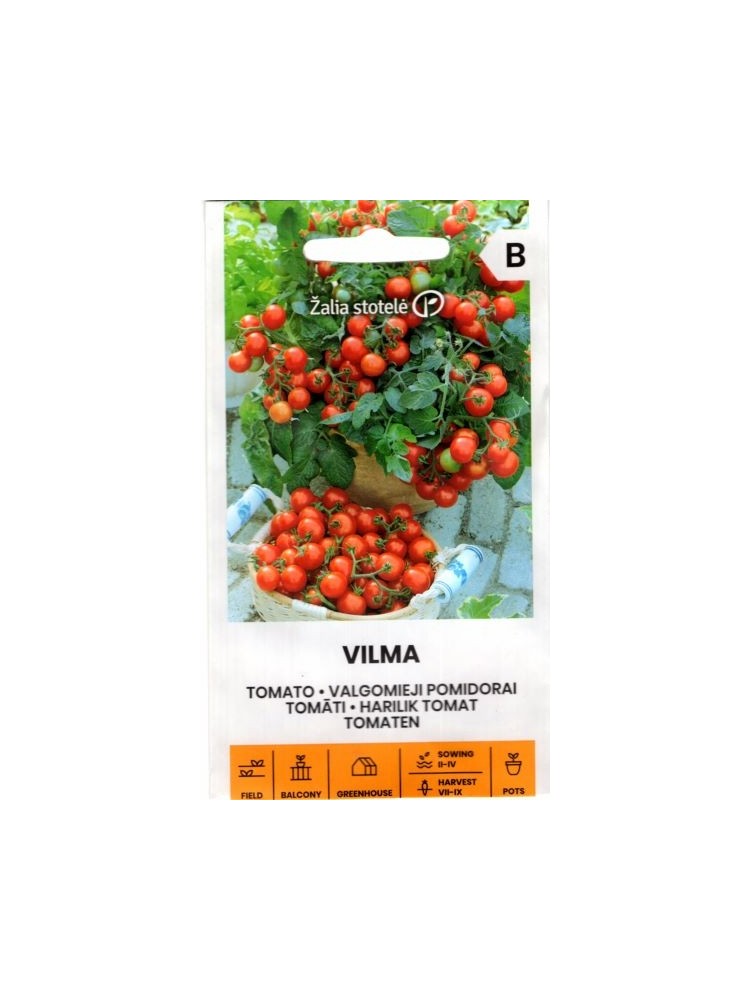 Tomato 'Vilma' 0,2 g