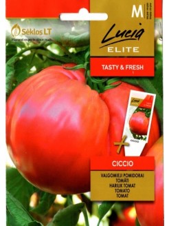 Ēdamais tomāts 'Ciccio' H, 0,2 g