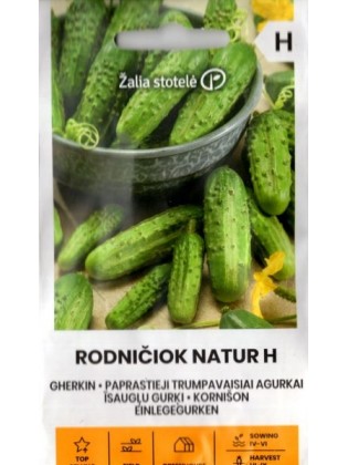 Concombre 'Rodnichok natur' H, 2 g
