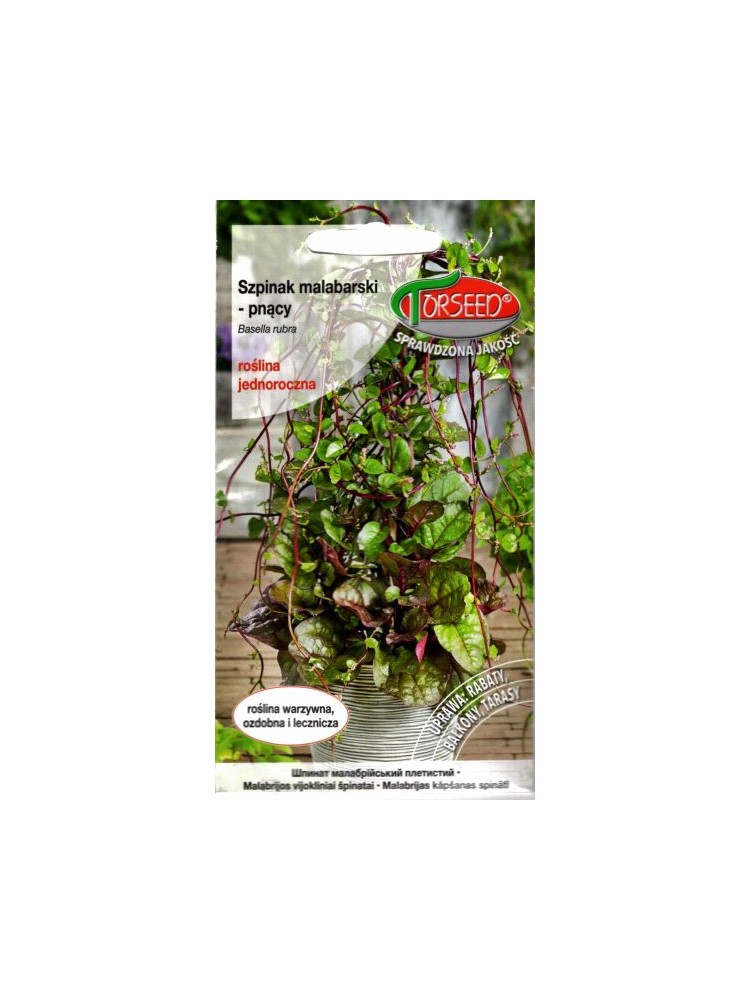 Malabar spinach 10 seeds