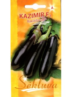 Eggplant 'Kazimir' H, 10 seeds