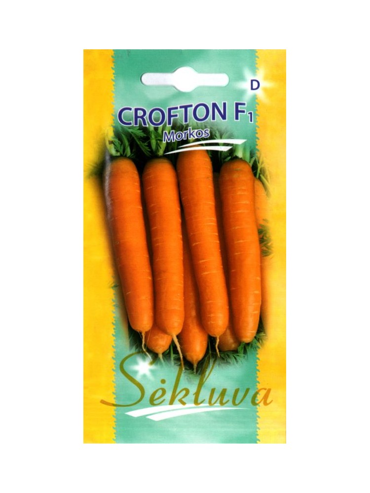 Carrot 'Crofton' H