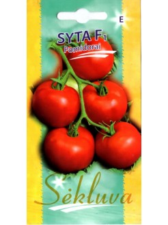 Tomat 'Syta' H, 10 seemet