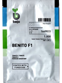 Pomodoro 'Benito' H, 1000 semi