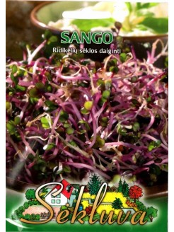 Radish 'Sango' for sprouting