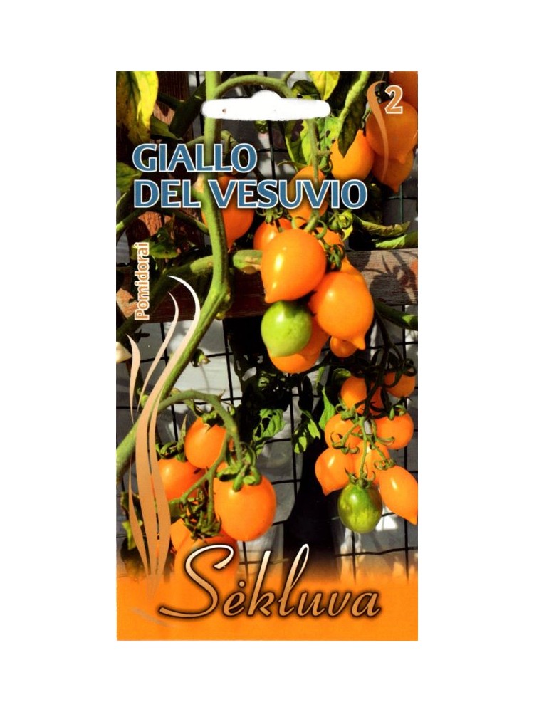 Tomate 'Giallo del Vesuvio', graines en ligne