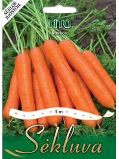 Carrot 'Tito' 5 m seeds on...