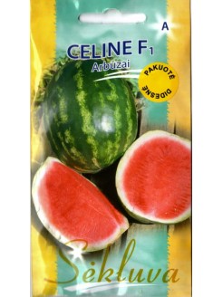 Arbūzai tikrieji 'Celine' H, arbūzų sėklos didesniais kiekiais