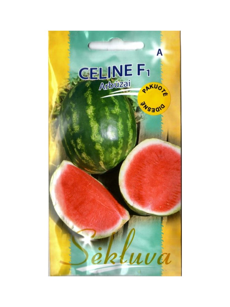 Watermelon 'Celine' H, 100 seeds