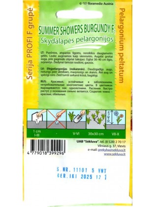 Пеларгония плющелистная 'Summer Showers Burgundy' H, 5 семян