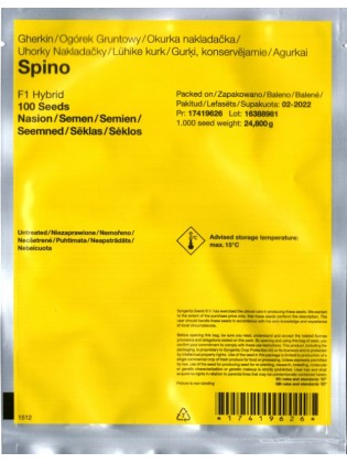 Einlegegurke 'Spino' H, 100 Samen