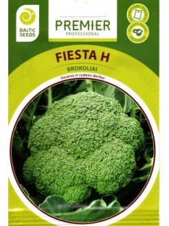 Broccoli 'Fiesta' H