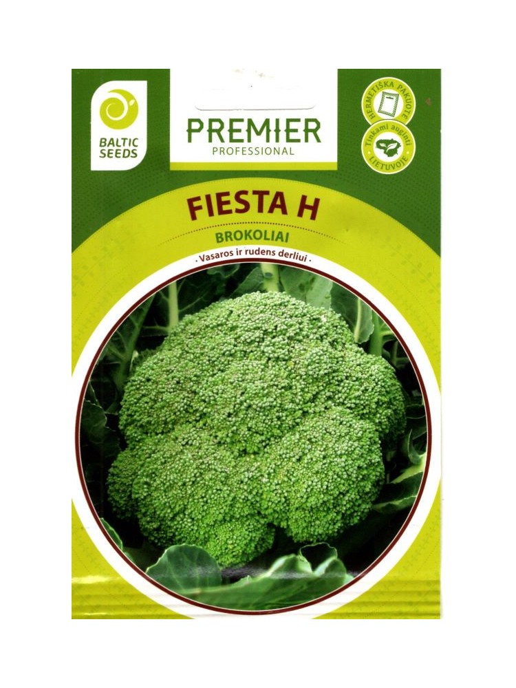 Brokoliai 'Fiesta' H