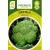 Broccolo 'Fiesta' H, 30 semi