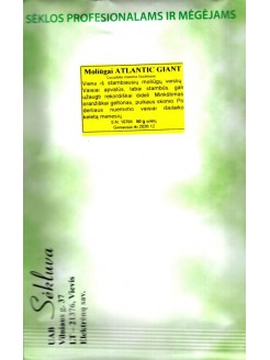 Moliūgai didieji 'Atlantic Giant' 50 g