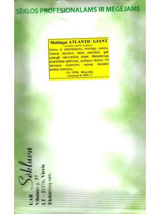 Тыква 'Atlantic Giant' 50  г