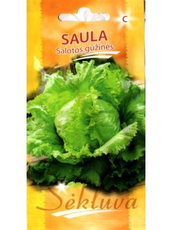 Lettuce 'Saula' 25 seeds