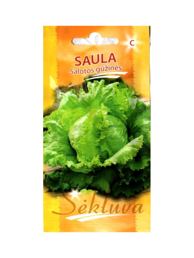 Laitue cultivée 'Saula' 25 graines