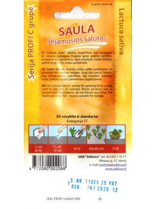 Laitue cultivée 'Saula' 25 graines