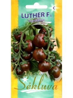 Pomodoro 'Luther' H, 10 semi