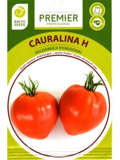 Pomodoro 'Cauralina' H, 5 semi