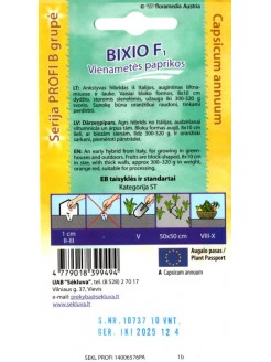Paprika 'Bixio' H, 10 seemned
