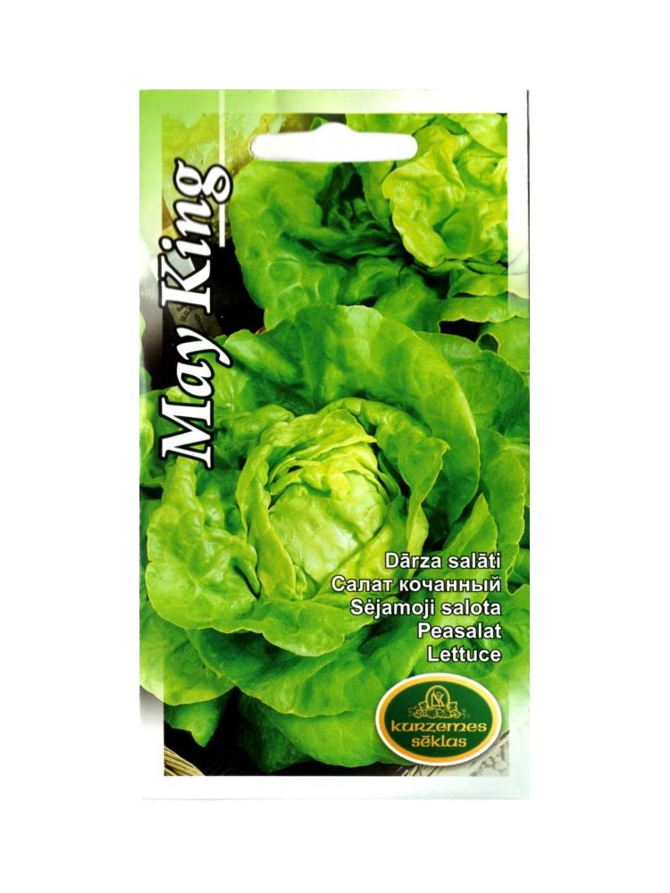 Lettuce 'May King' 2 g