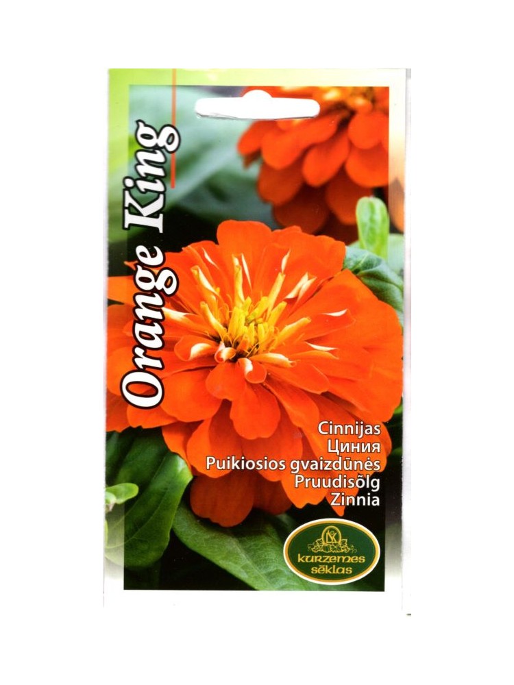 Zinnia elegans 'Orange King', 1 g