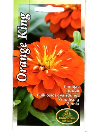 Zinnia violacea 'Orange King', 1 g