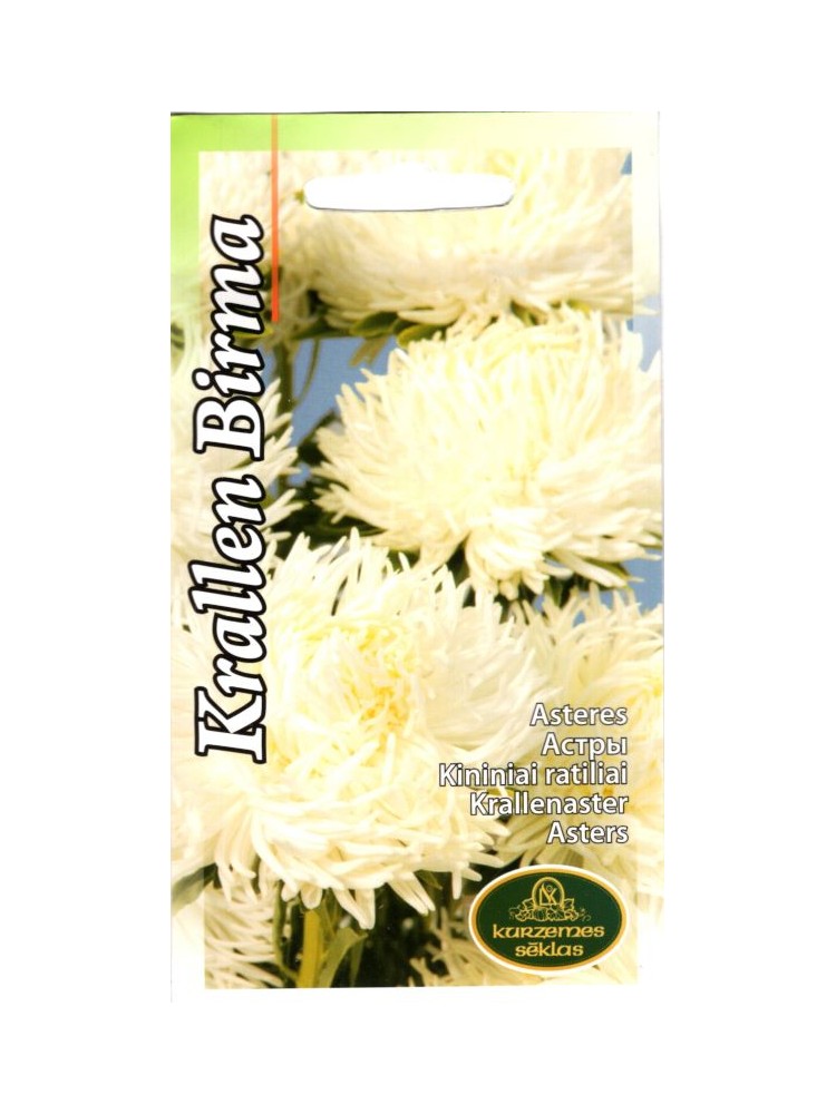 Каллистефус китайский Krallen 'Birma', 1 г Каллистефус китайский Krallen 'Birma', 1 г