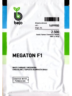 Baltie galviņkāposti 'Megaton' H, 2500 sēklas