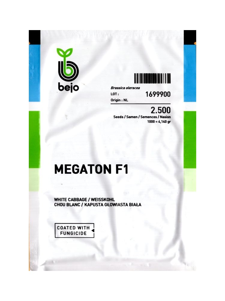 White cabbage 'Megaton' H, 2500 seeds