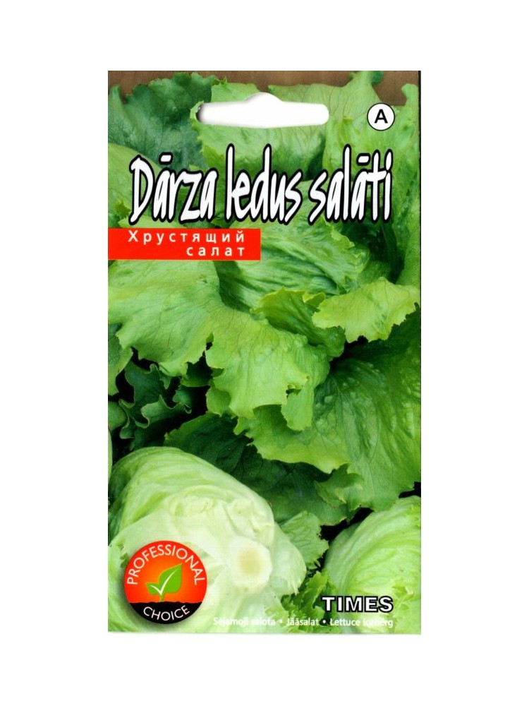 Lettuce 'Times' 15 seeds
