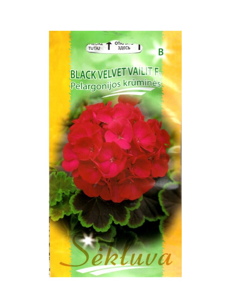 Joslu pelargonija 'Black velvet Vailit' H, 5 sēklas