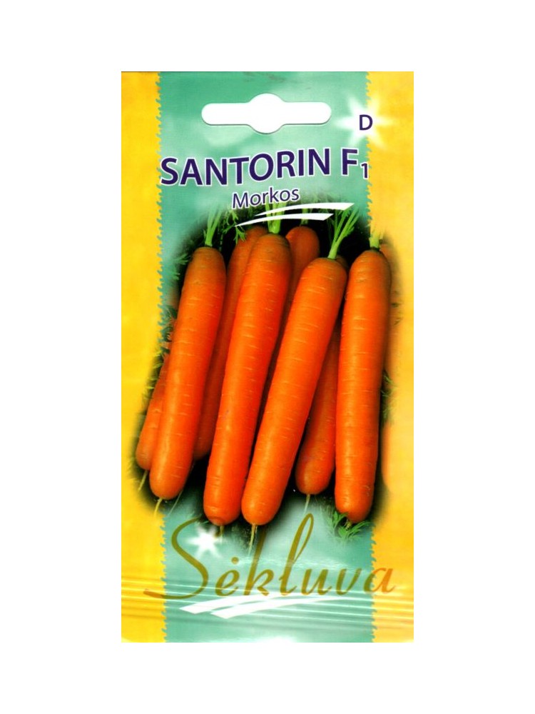 Carotte 'Santorin' H, 600 graines