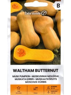 Moliūgai kvapieji 'Waltham Butternut' 2,0 g