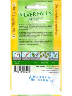 Dichondra argentea 'Silver Falls' 8 graines